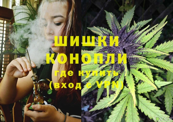 mdpv Белокуриха