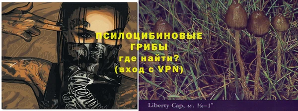 mdpv Белокуриха