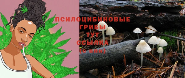 винт Белоозёрский