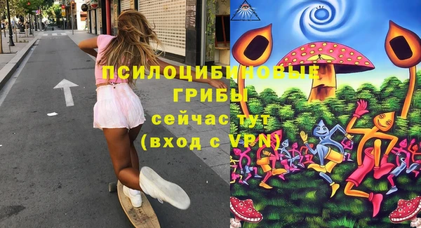 mdpv Белокуриха