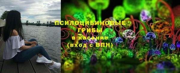 mdpv Белокуриха