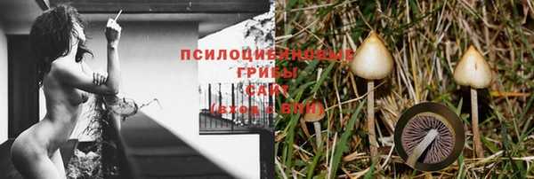 гидропоника Беломорск