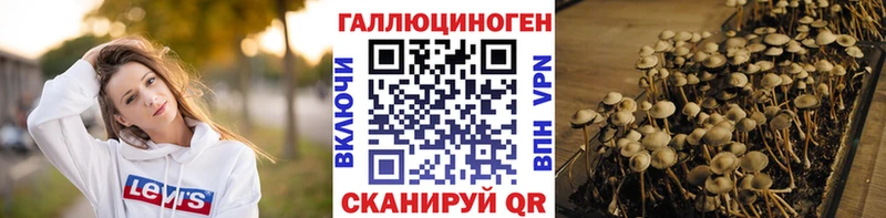 Галлюциногенные грибы Psilocybe Пестово
