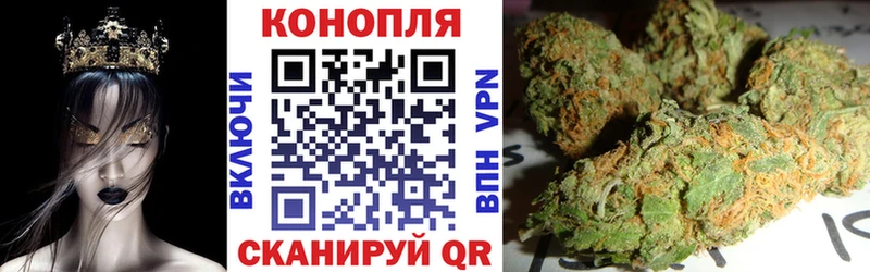 хочу наркоту Пестово Шишки марихуана сатива